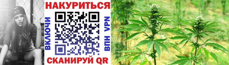 Конопля марихуана Карабаново